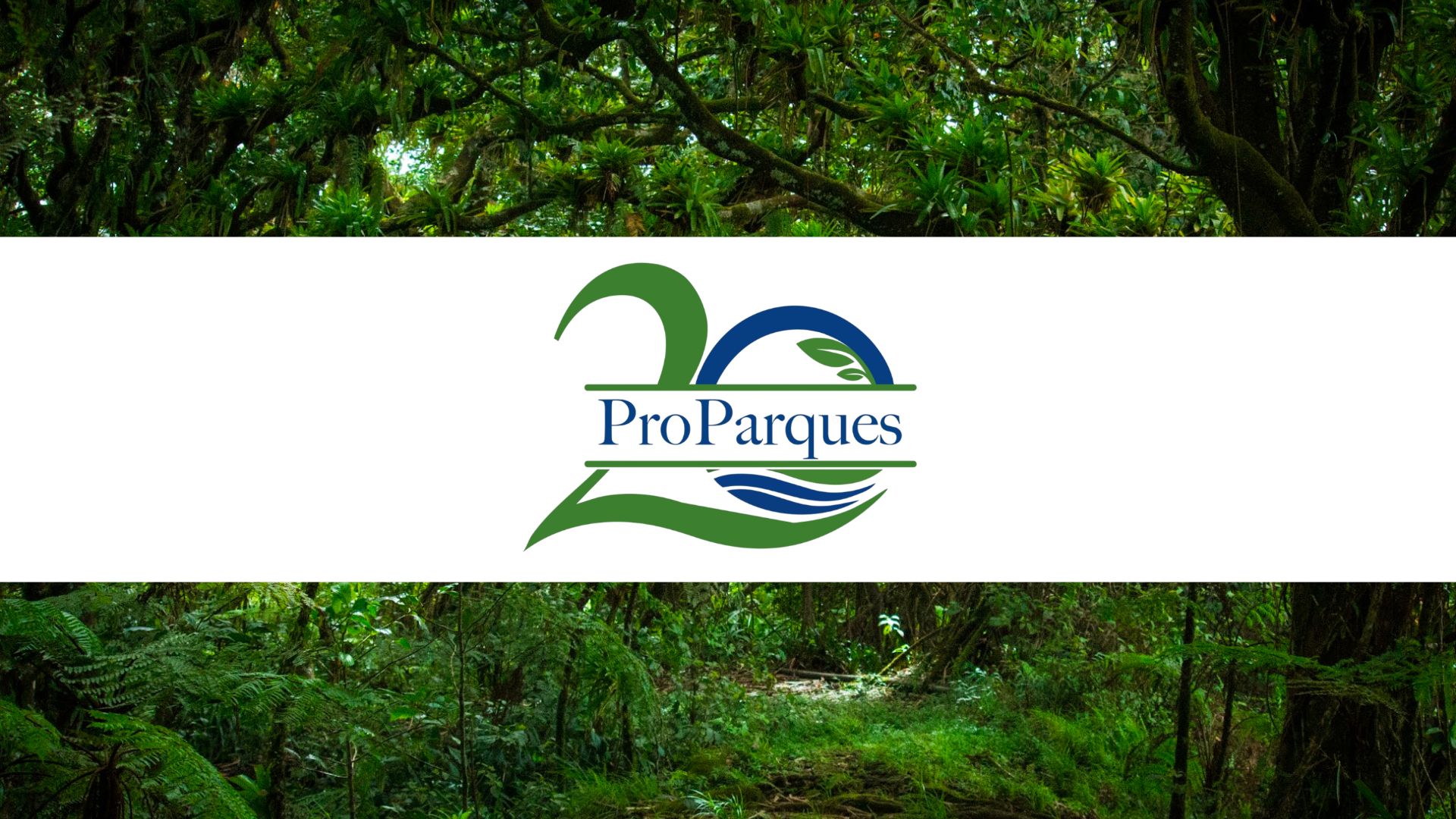 ProParques celebra 20 años de beneficiar a nuestras áreas silvestres protegidas